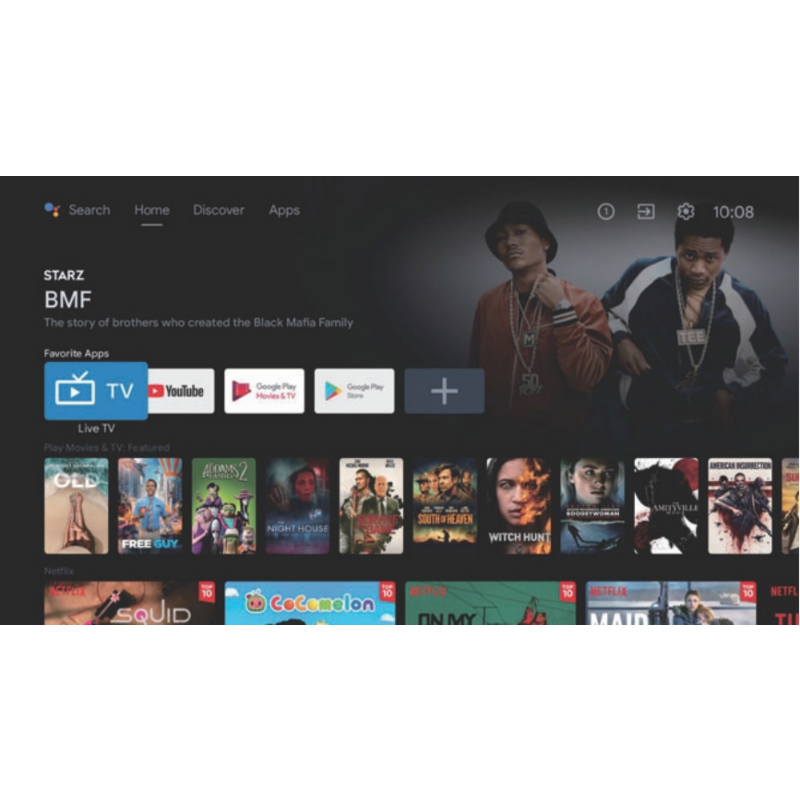 Outdoor TV ESI43 - Smart 4K LED GOOGLE TV